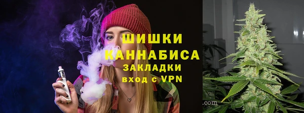 стаф Арсеньев