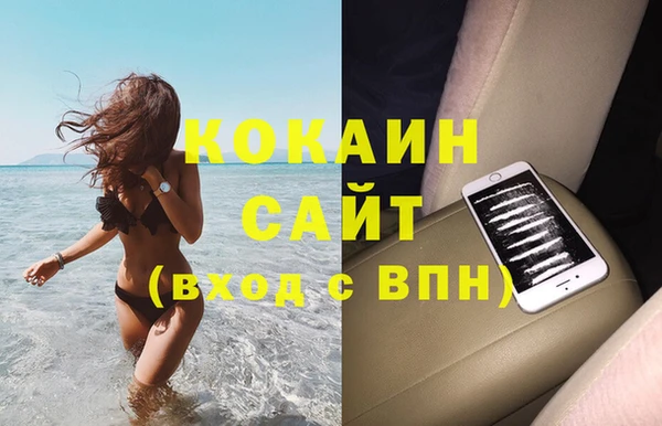 стаф Арсеньев