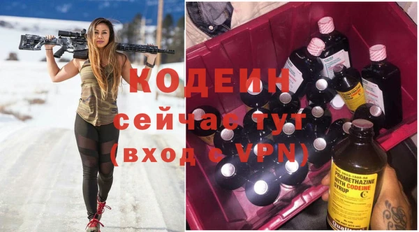 стаф Арсеньев