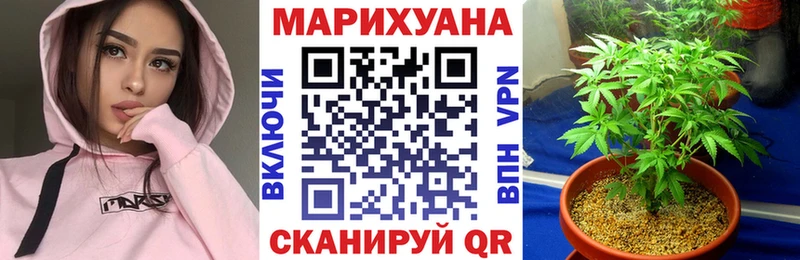 Марихуана план Порхов